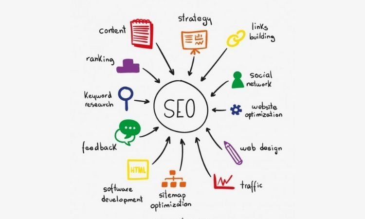 Best SEO Service in Noida